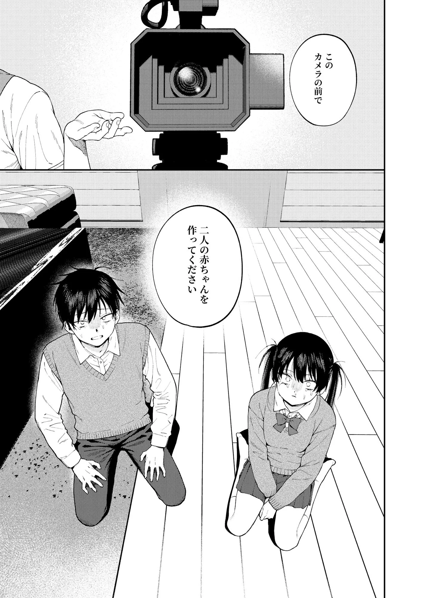 双子の兄妹強●近親相姦つがいじめ [maker] サンプル5